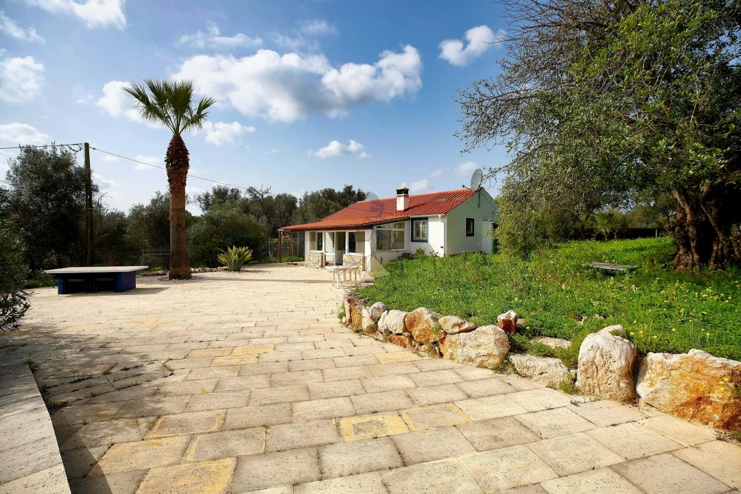 Quinta T1 para Venda em Mexilhoeira Grande Foto 22