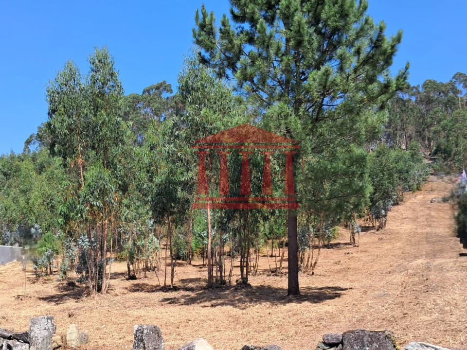 Terreno para Venda em Remelhe Foto 5