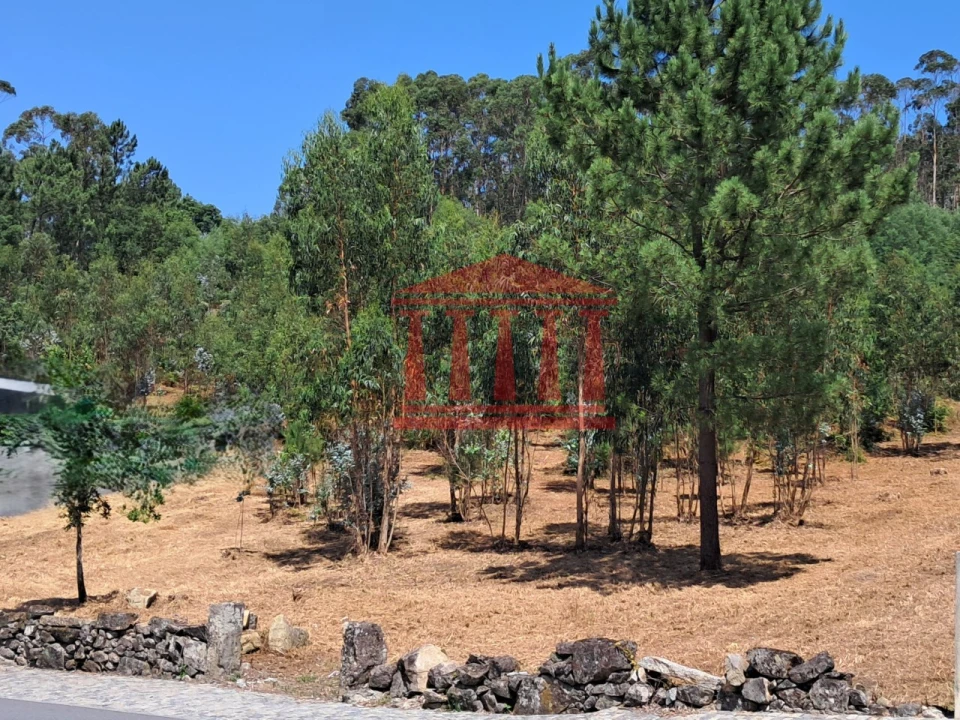 Terreno para Venda em Remelhe Foto 6