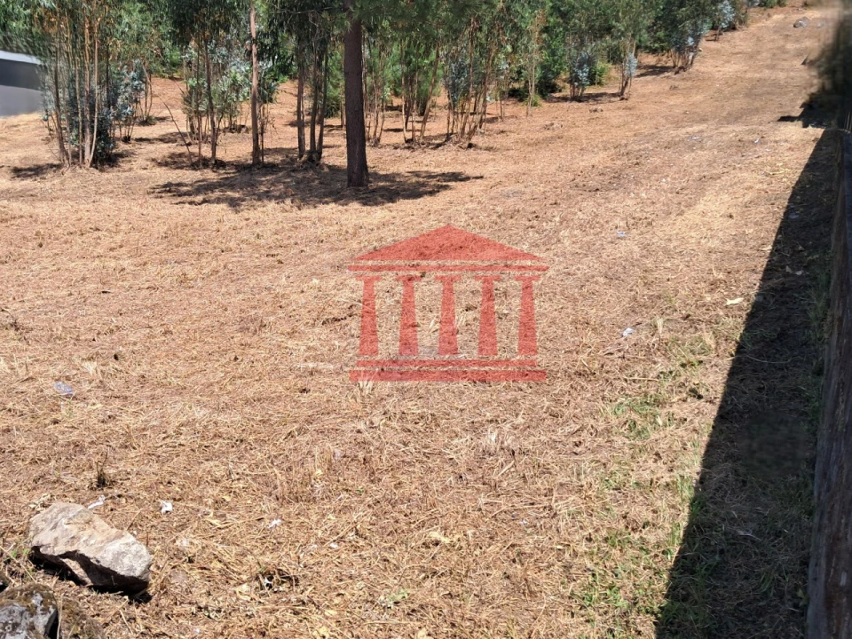 Terreno para Venda em Remelhe Foto 4