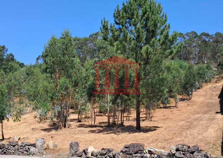 Terreno para Venda em Remelhe Foto 7