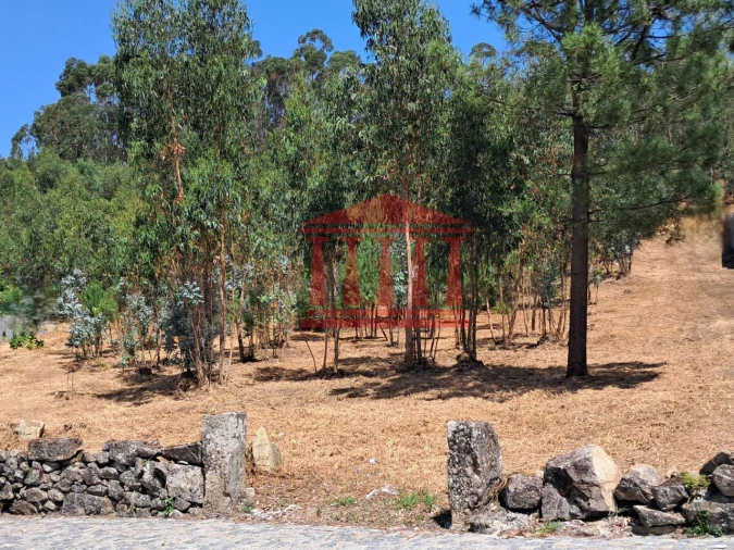 Terreno para Venda em Remelhe Foto 8