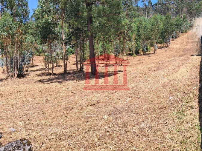 Terreno para Venda em Remelhe Foto 2