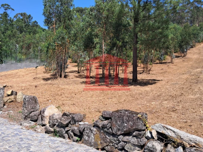 Terreno para Venda em Remelhe Foto 9