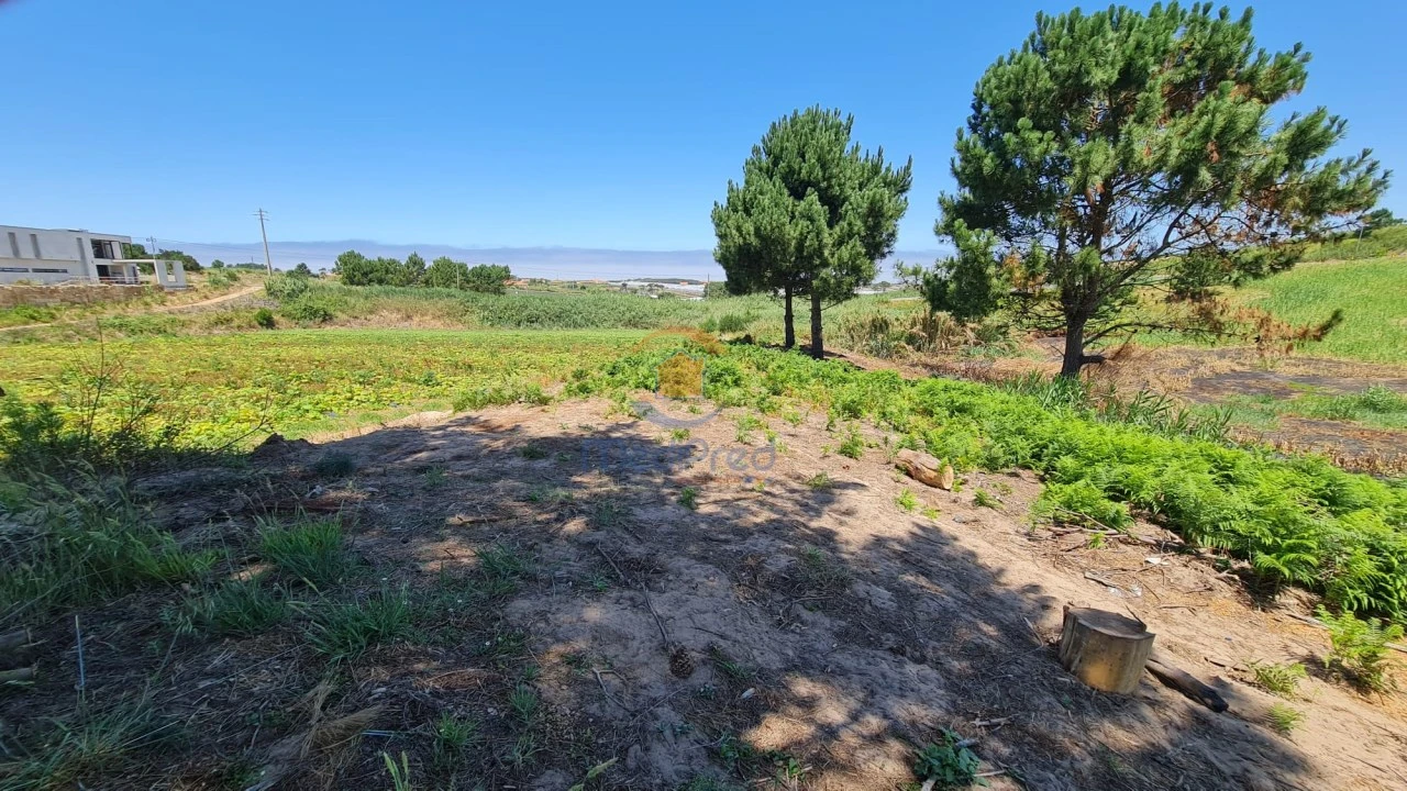 Terreno Agricola ou Rústico para Venda em A dos Cunhados e Maceira Foto 4