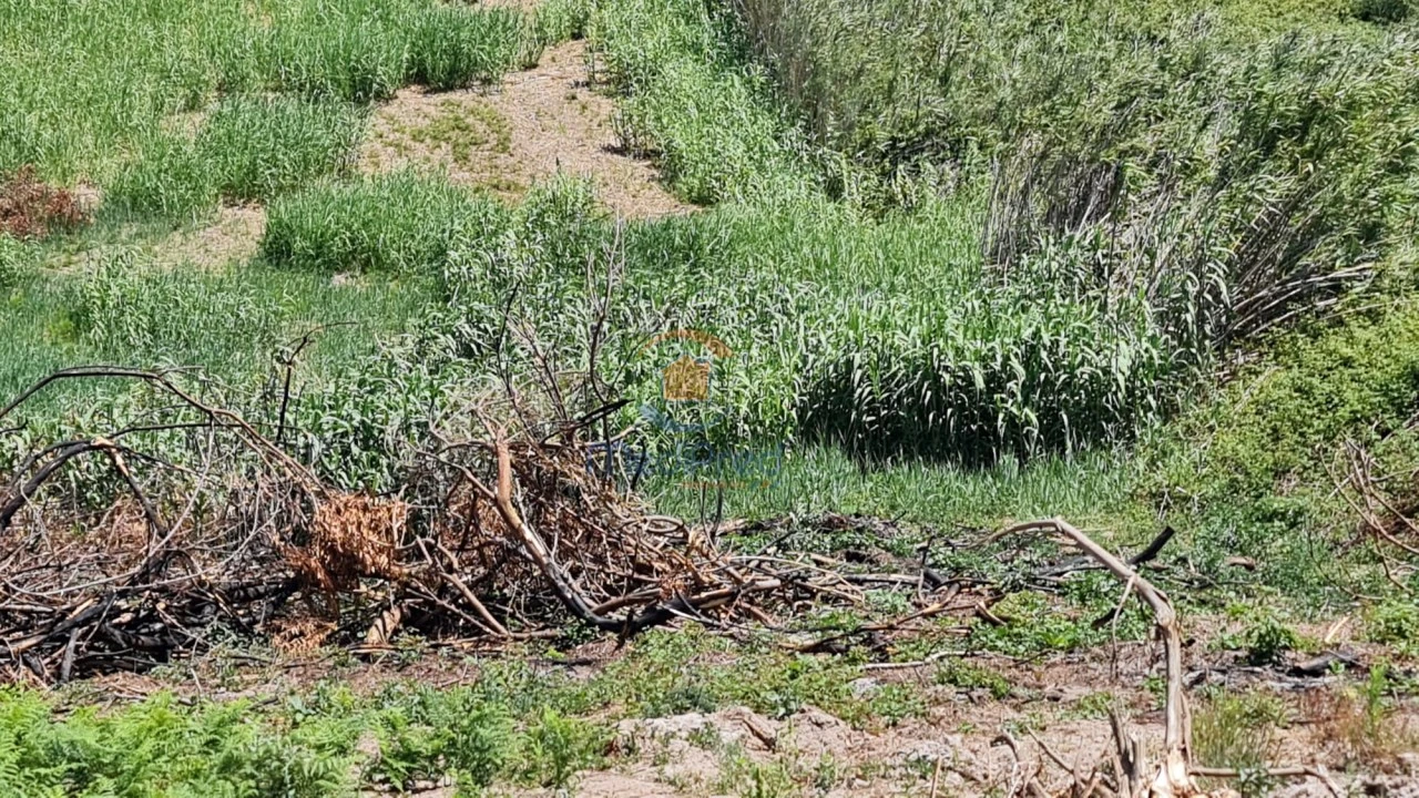 Terreno Agricola ou Rústico para Venda em A dos Cunhados e Maceira Foto 6