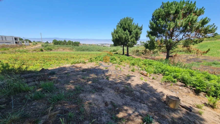 Terreno Agricola ou Rústico para Venda em A dos Cunhados e Maceira Foto 4