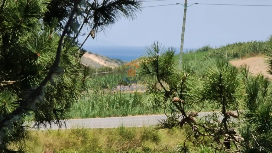 Terreno Agricola ou Rústico para Venda em A dos Cunhados e Maceira Foto 5