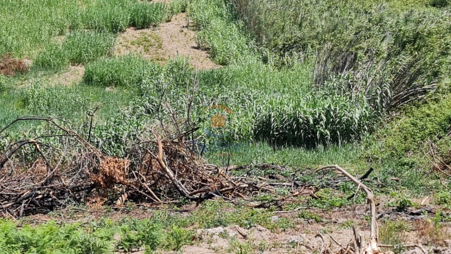 Terreno Agricola ou Rústico para Venda em A dos Cunhados e Maceira Foto 6