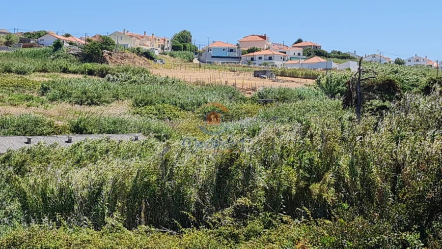 Terreno Agricola ou Rústico para Venda em A dos Cunhados e Maceira Foto 7