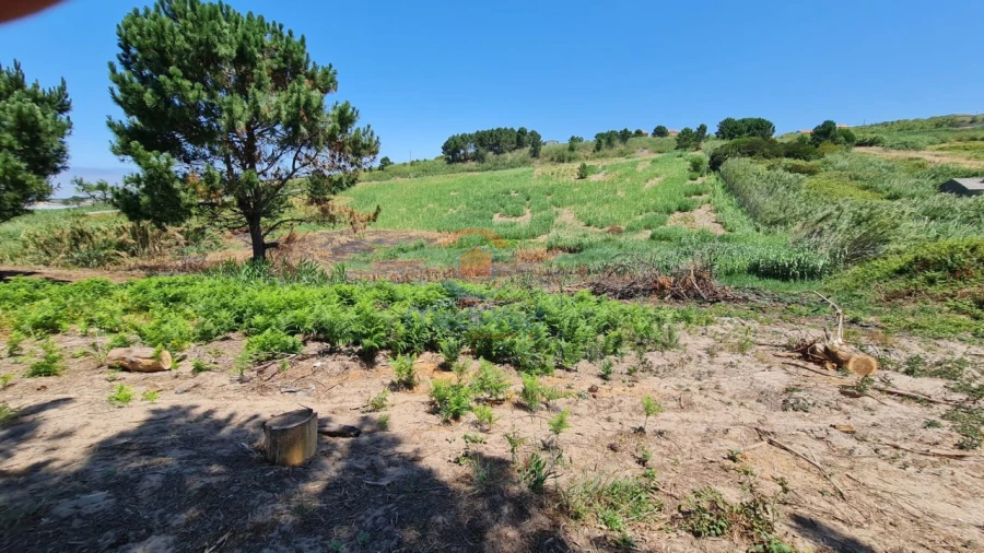 Terreno Agricola ou Rústico para Venda em A dos Cunhados e Maceira Foto 8