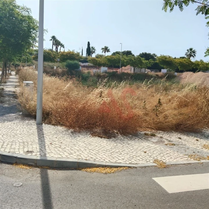 Terreno para Venda em Guia Foto 3