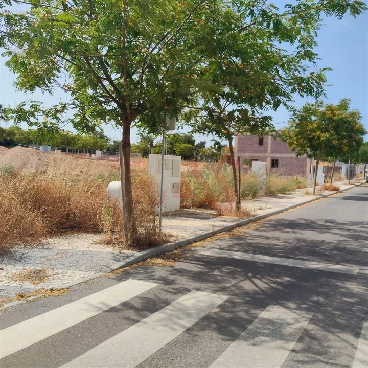 Terreno para Venda em Guia Foto 1