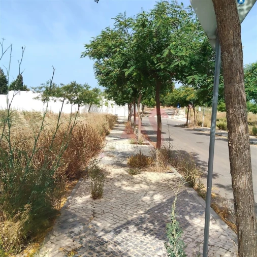 Terreno para Venda em Guia Foto 2