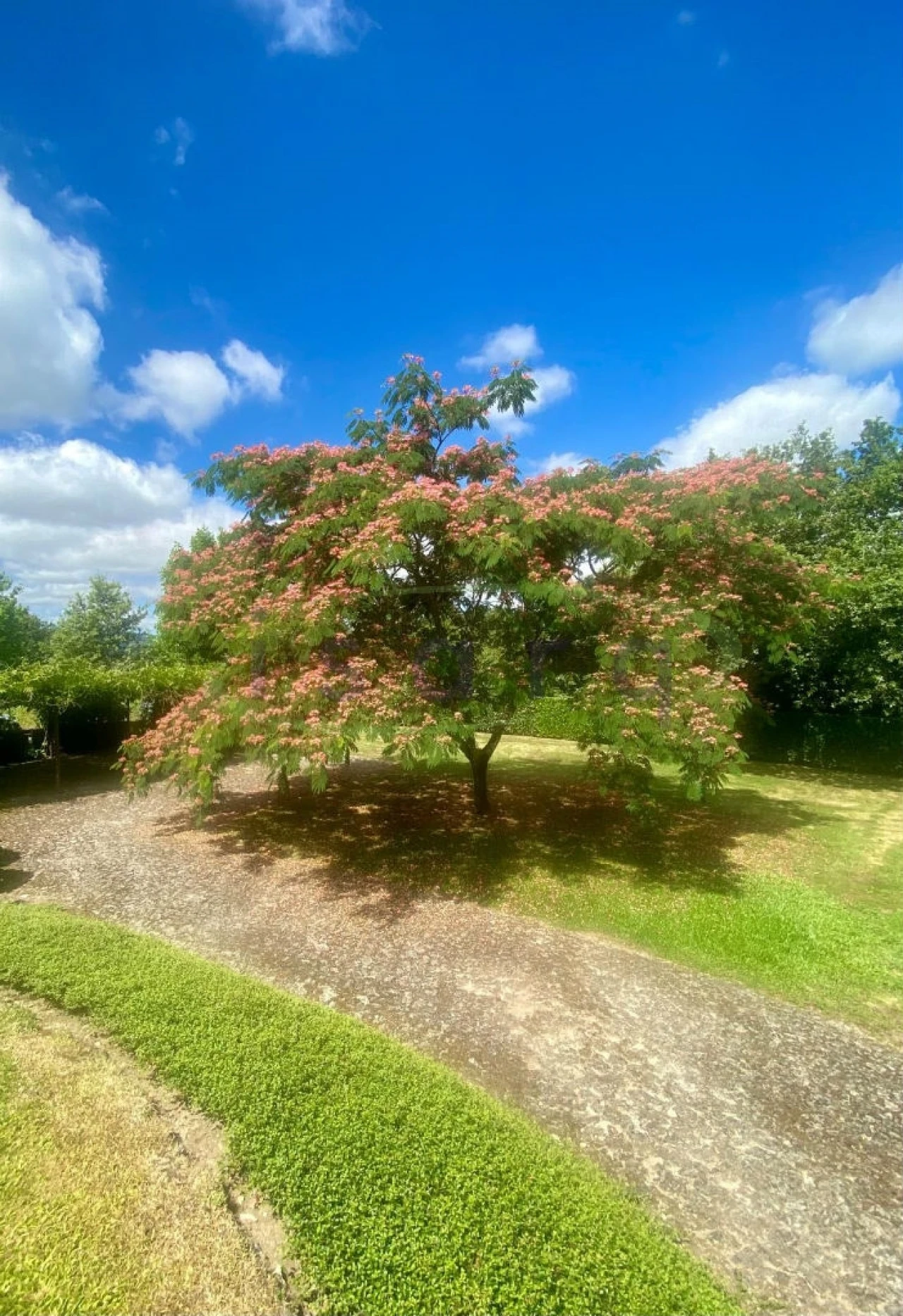 Quinta T7 para Venda em Agualonga Foto 11