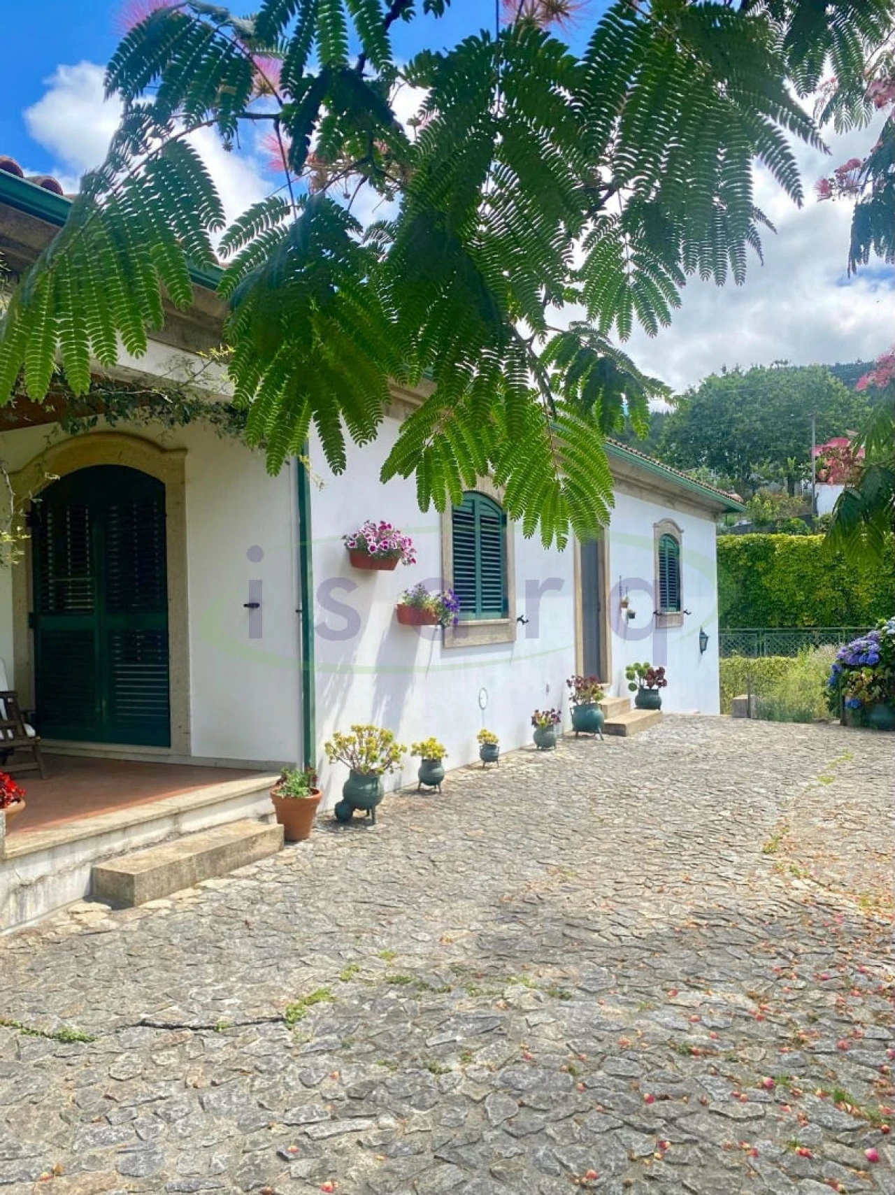 Quinta T7 para Venda em Agualonga Foto 36