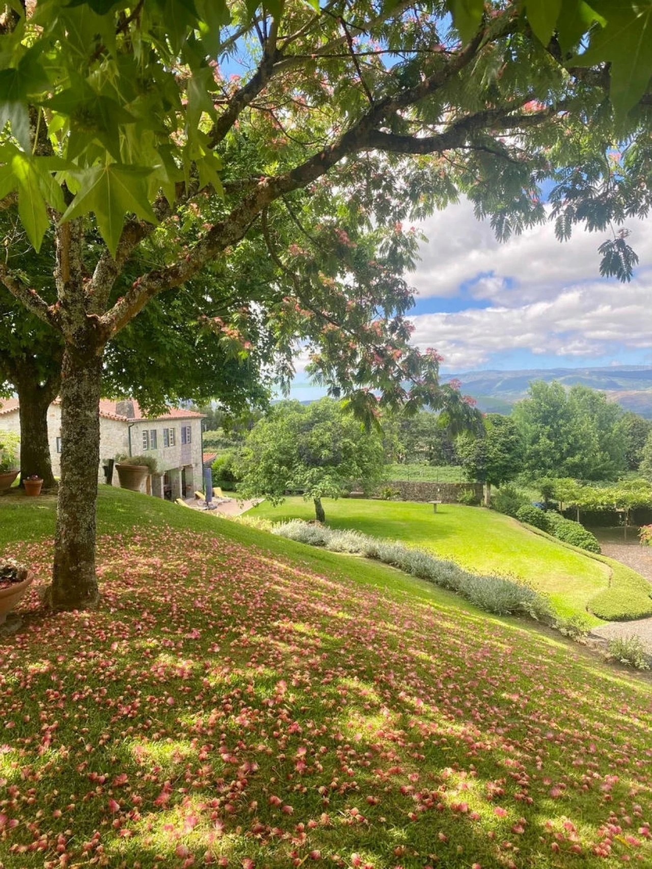 Quinta T7 para Venda em Agualonga Foto 26