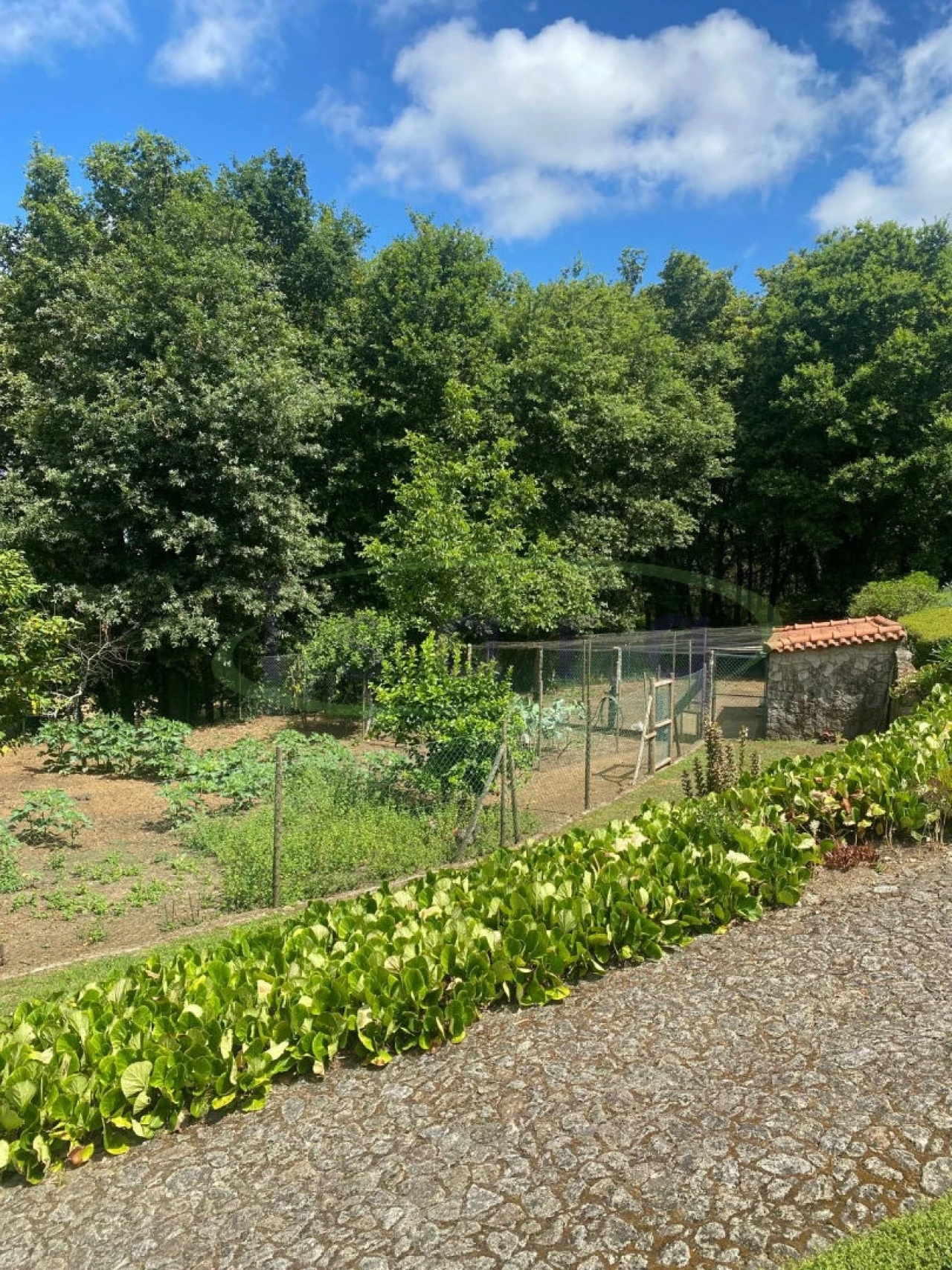 Quinta T7 para Venda em Agualonga Foto 18