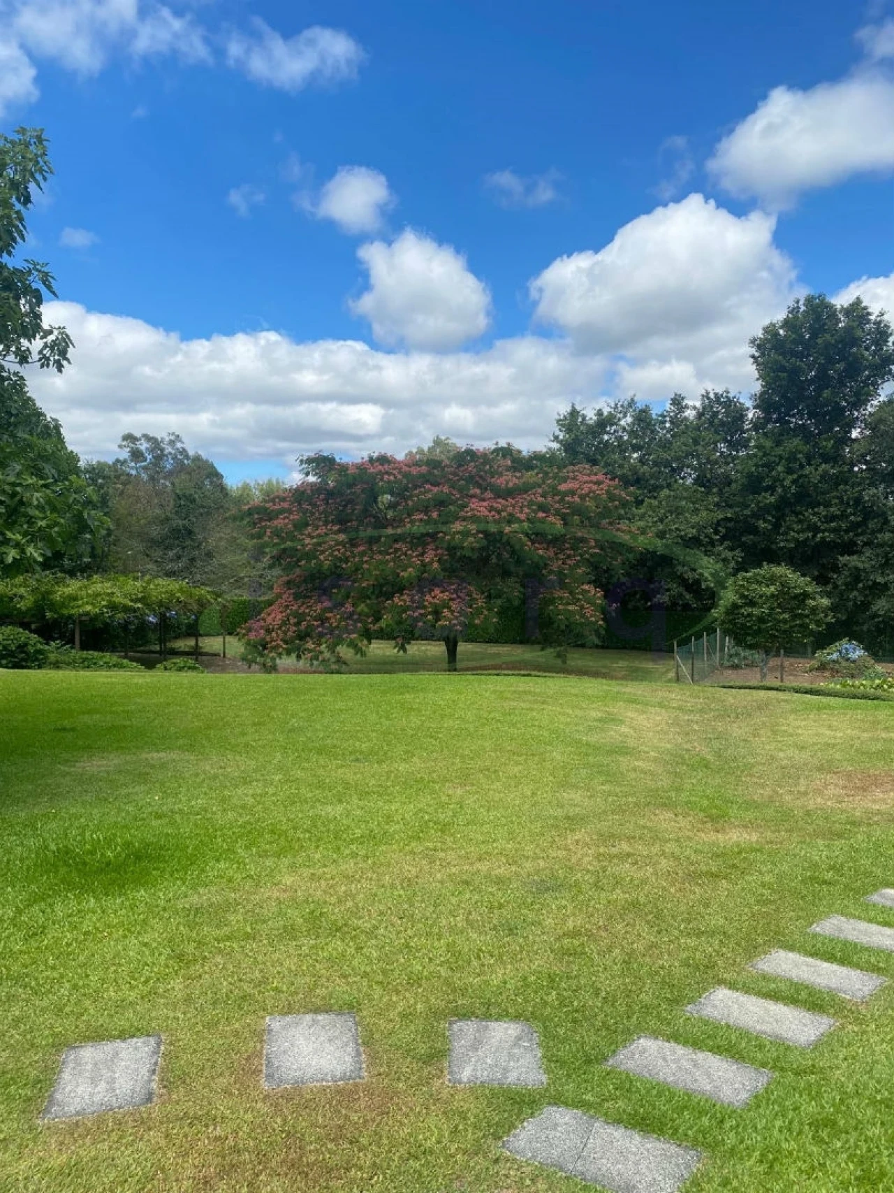 Quinta T7 para Venda em Agualonga Foto 10