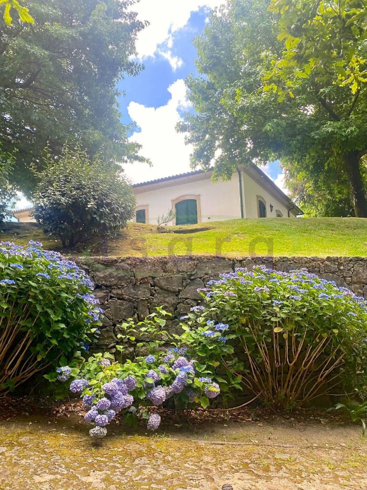 Quinta T7 para Venda em Agualonga Foto 23