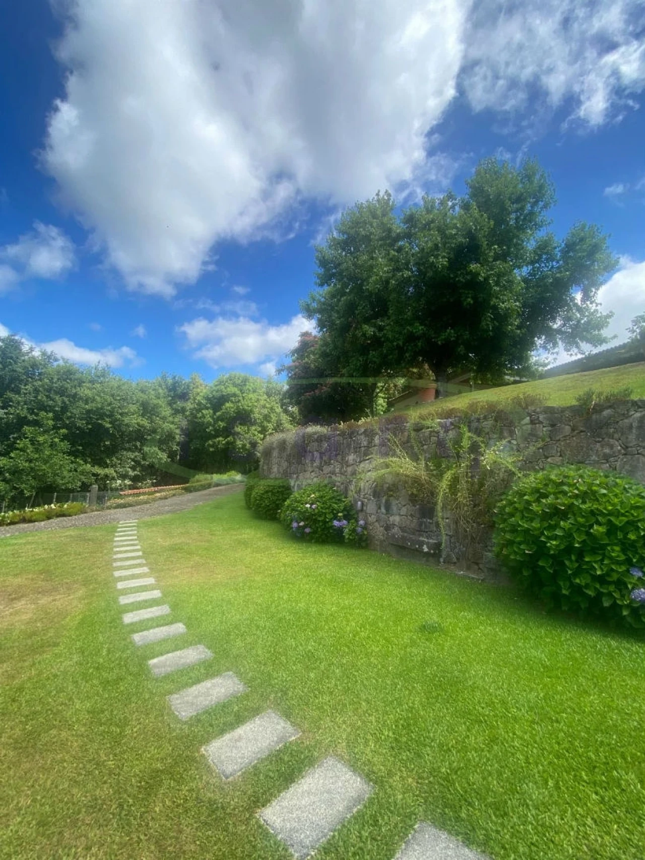 Quinta T7 para Venda em Agualonga Foto 17