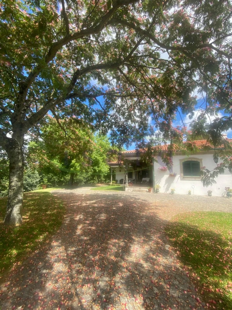 Quinta T7 para Venda em Agualonga Foto 37