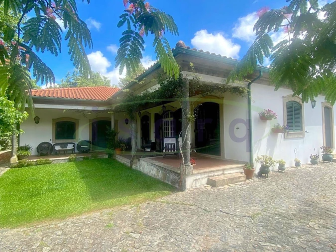 Quinta T7 para Venda em Agualonga Foto 35