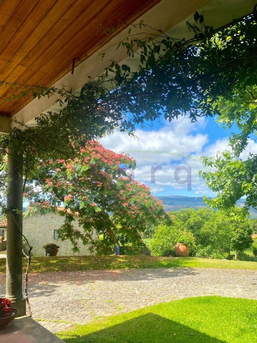 Quinta T7 para Venda em Agualonga Foto 31