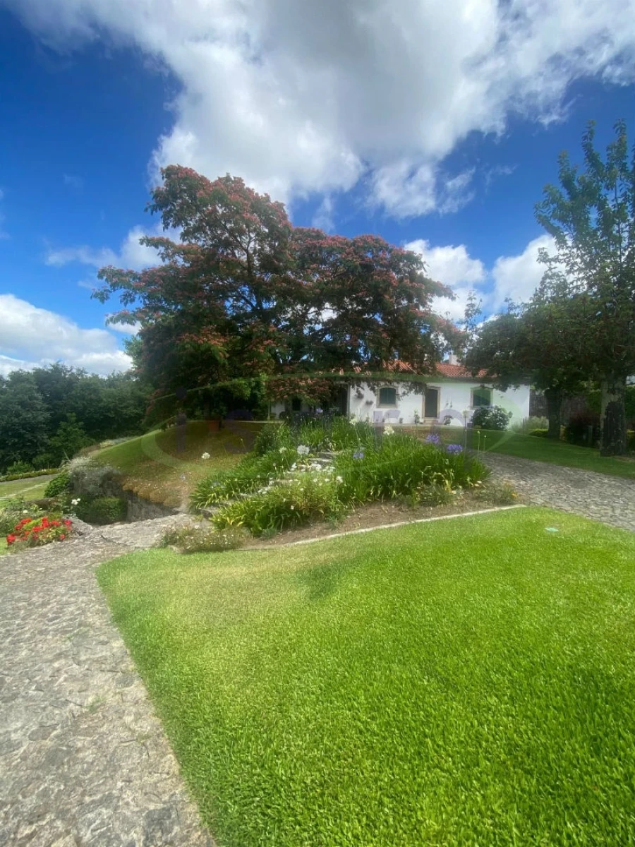 Quinta T7 para Venda em Agualonga Foto 19