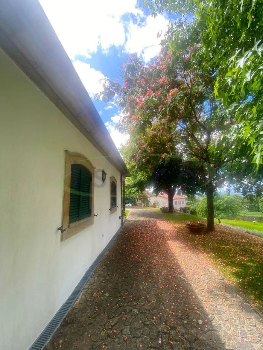 Quinta T7 para Venda em Agualonga Foto 24