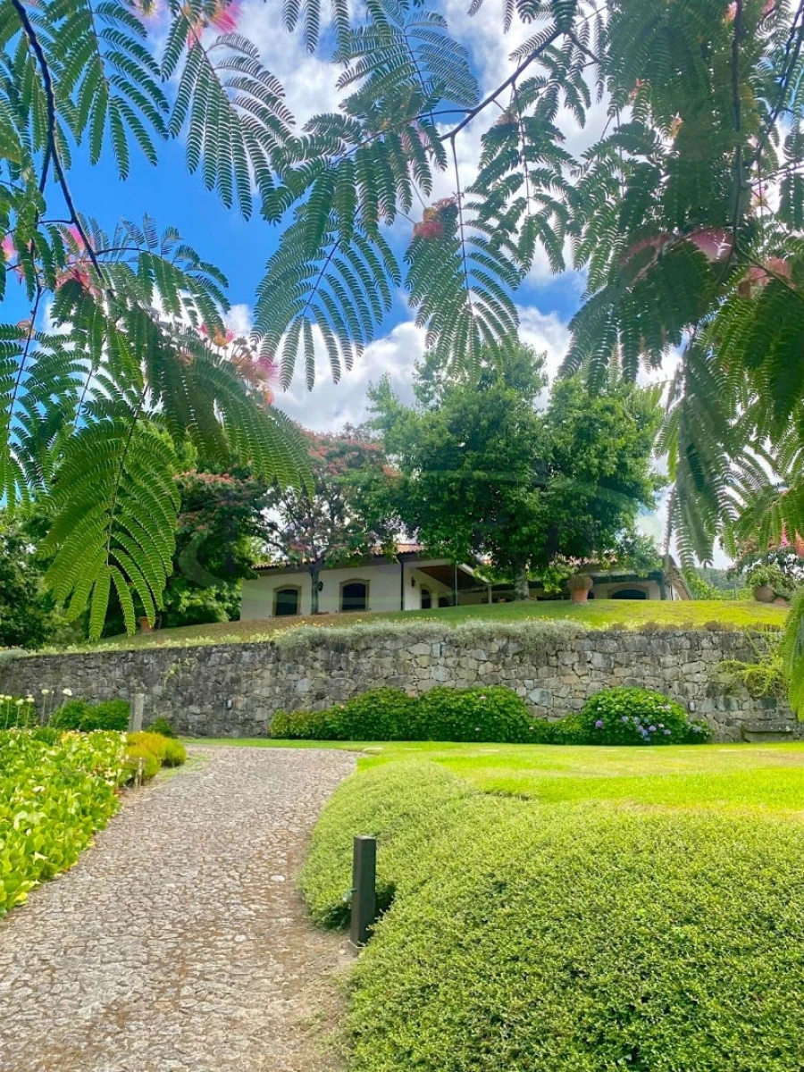 Quinta T7 para Venda em Agualonga Foto 15