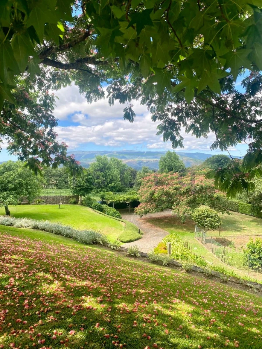 Quinta T7 para Venda em Agualonga Foto 25