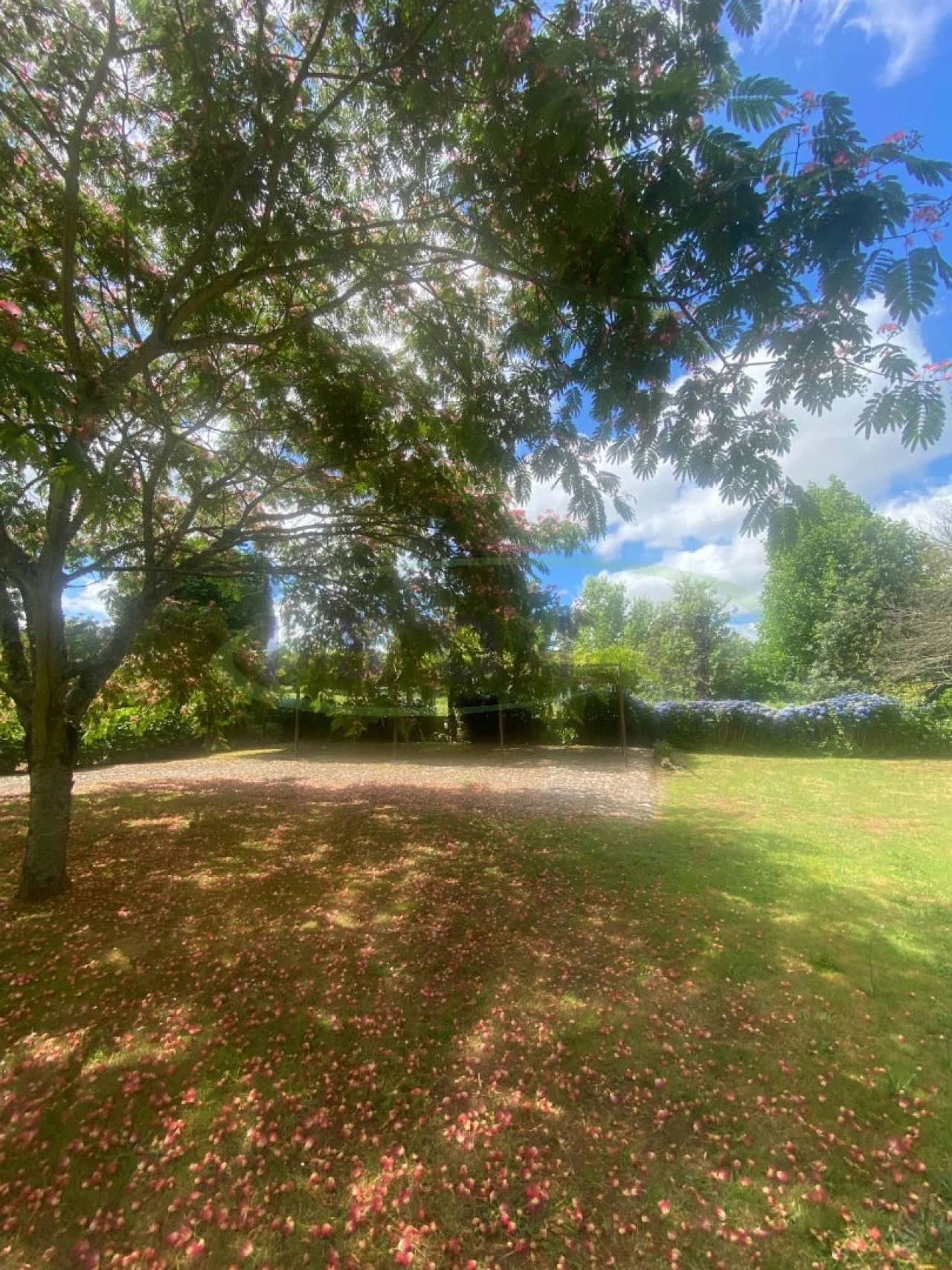 Quinta T7 para Venda em Agualonga Foto 13