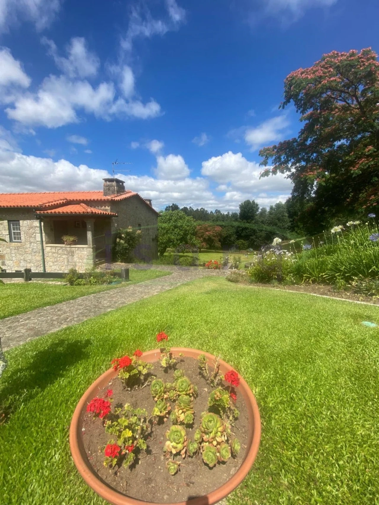 Quinta T7 para Venda em Agualonga Foto 4