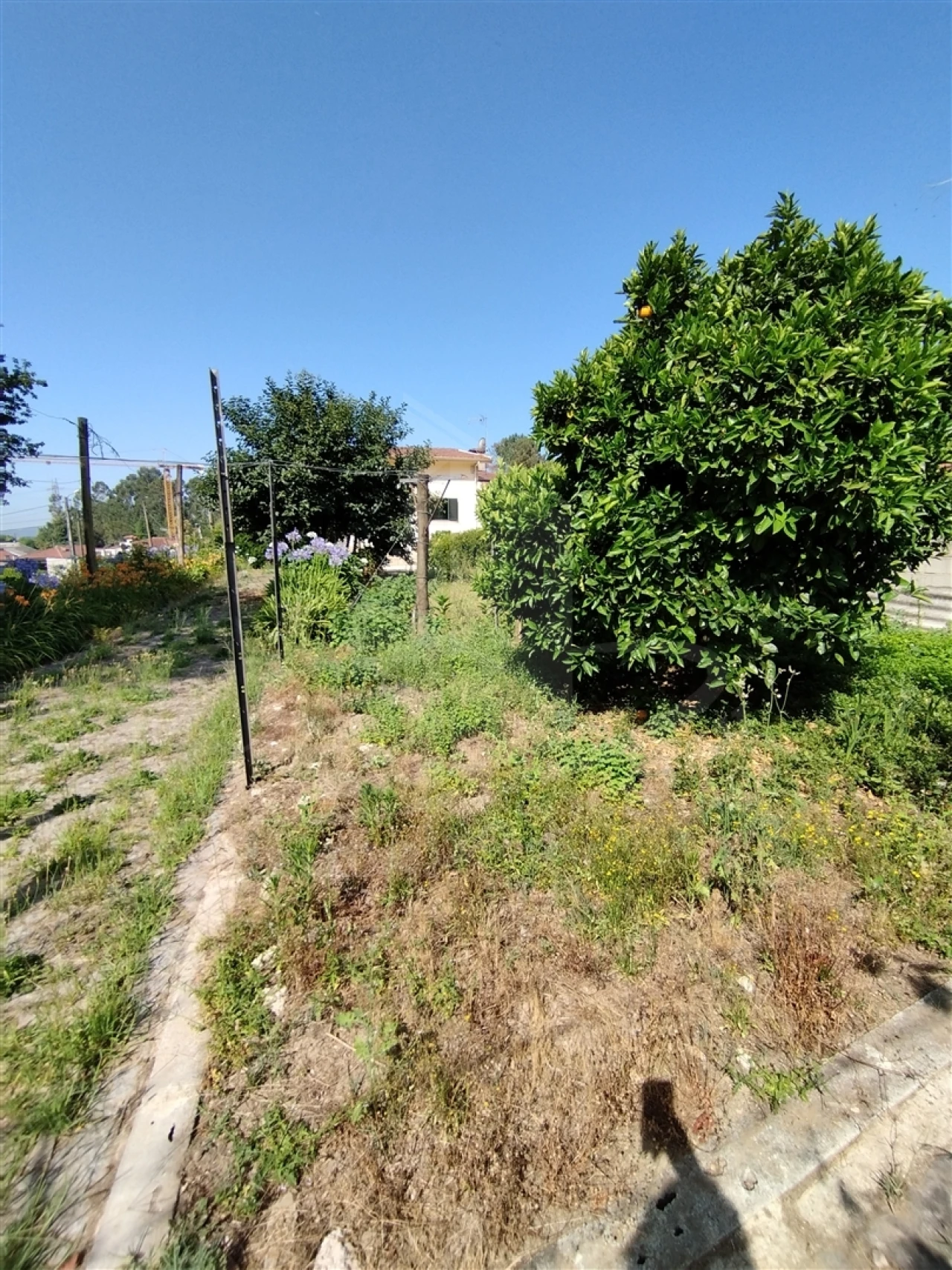 Moradia T4 para Venda em Lago Foto 40