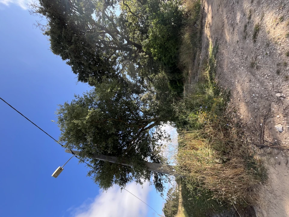 Terreno Agricola ou Rústico para Venda em Barrio Foto 1