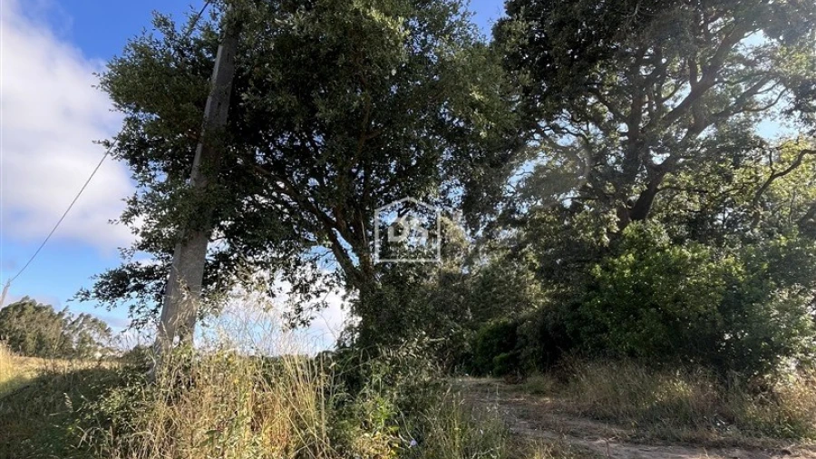 Terreno Agricola ou Rústico para Venda em Barrio