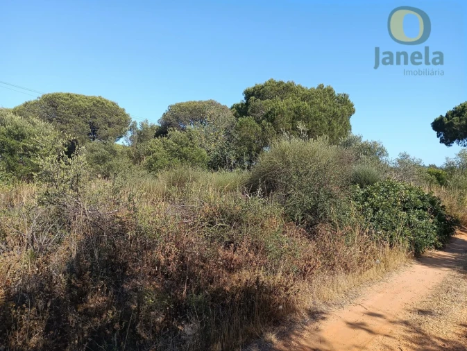 Terreno Agricola ou Rústico para Venda em Quarteira Foto 2