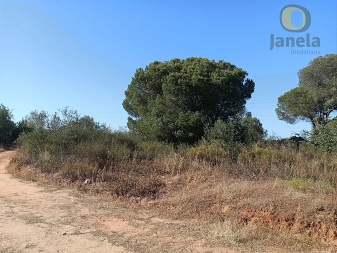 Terreno Agricola ou Rústico para Venda em Quarteira Foto 3