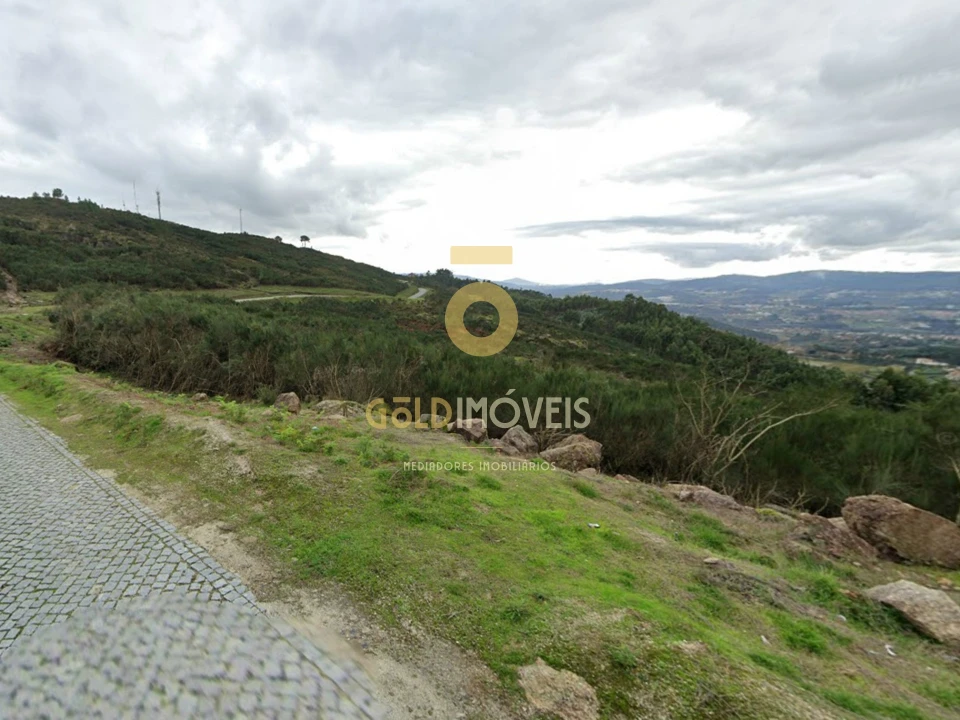 Terreno Agricola ou Rústico para Venda em Banho e Carvalhosa Foto 4