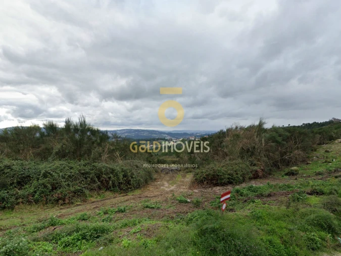 Terreno Agricola ou Rústico para Venda em Banho e Carvalhosa Foto 3
