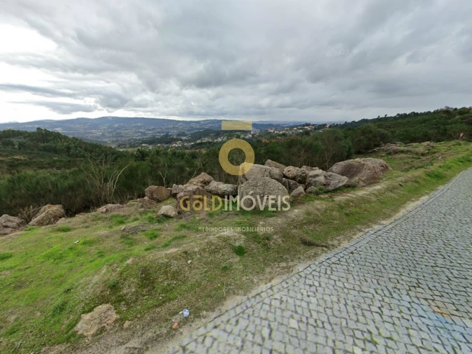 Terreno Agricola ou Rústico para Venda em Banho e Carvalhosa Foto 2