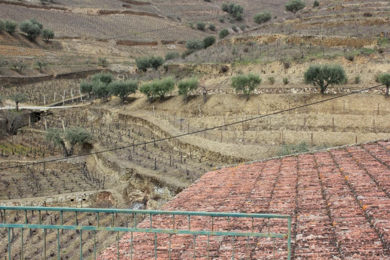 Quinta T4 para Venda em Ervedosa do Douro Foto 13