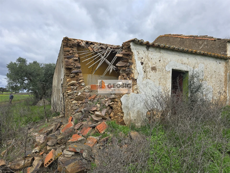 Terreno Agricola ou Rústico para Venda em Castro Verde e Casével Foto 10