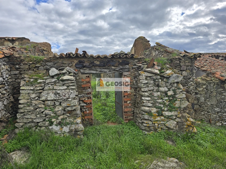 Terreno Agricola ou Rústico para Venda em Castro Verde e Casével Foto 7