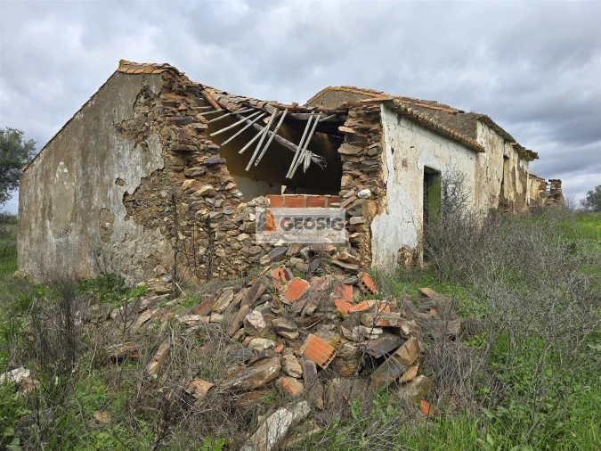 Terreno Agricola ou Rústico para Venda em Castro Verde e Casével Foto 13