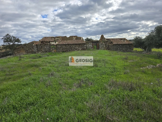 Terreno Agricola ou Rústico para Venda em Castro Verde e Casével Foto 4