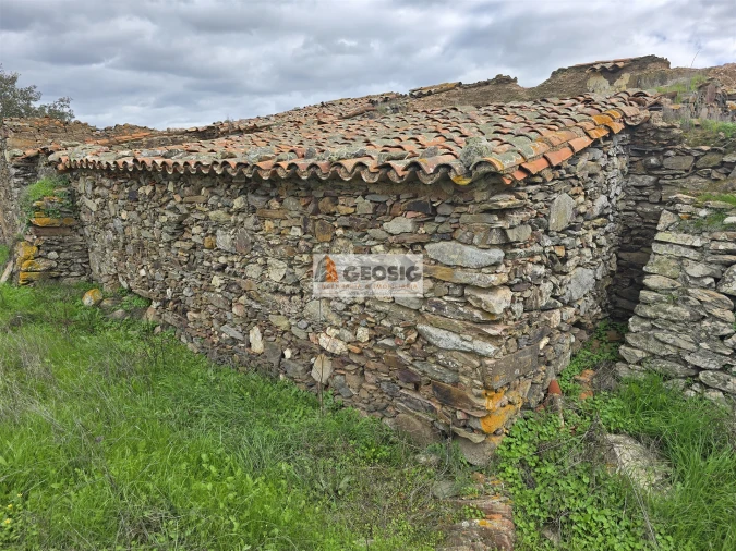 Terreno Agricola ou Rústico para Venda em Castro Verde e Casével Foto 6