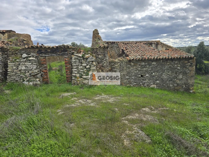 Terreno Agricola ou Rústico para Venda em Castro Verde e Casével Foto 5