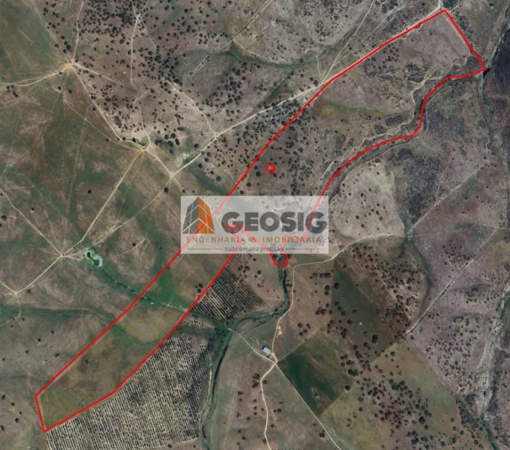 Terreno Agricola ou Rústico para Venda em Castro Verde e Casével Foto 15